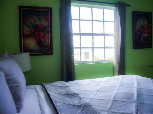 Silver View Apartments St. George's Bagian luar foto