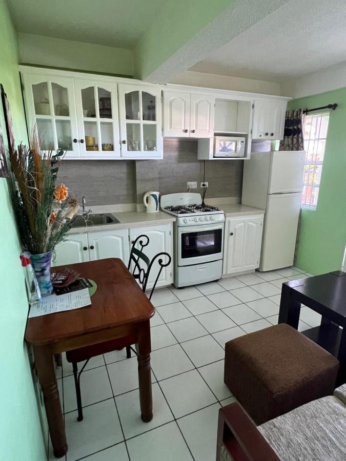 Silver View Apartments St. George's Bagian luar foto