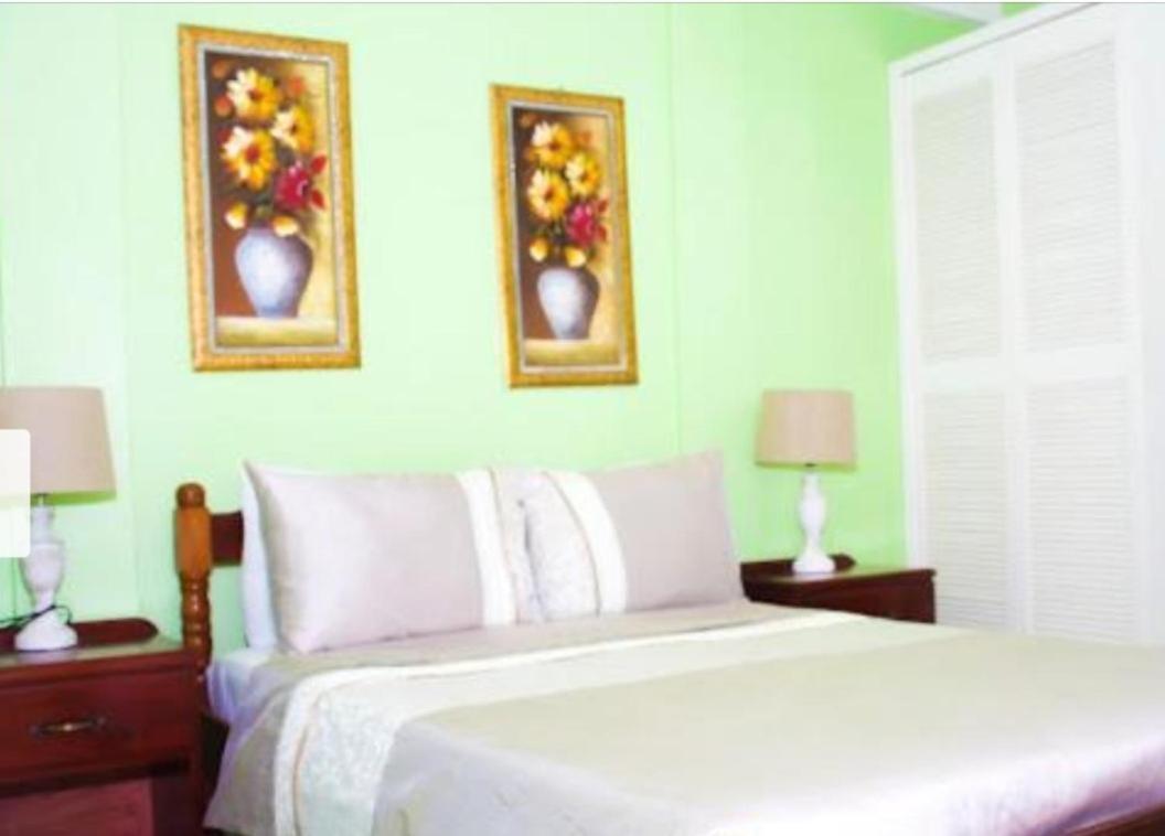 Silver View Apartments St. George's Bagian luar foto