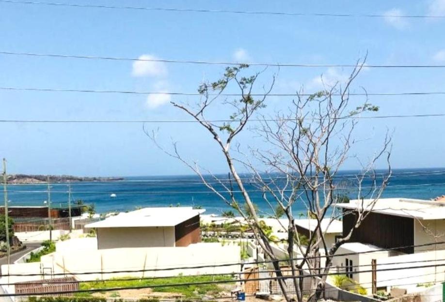 Silver View Apartments St. George's Bagian luar foto