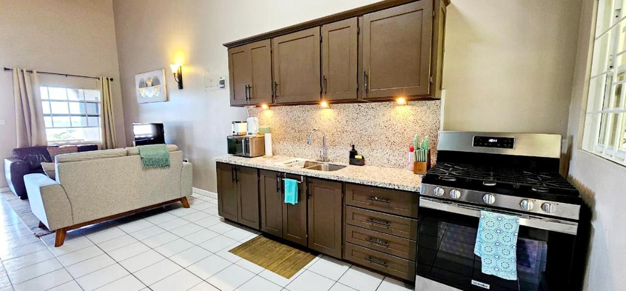 Silver View Apartments St. George's Bagian luar foto